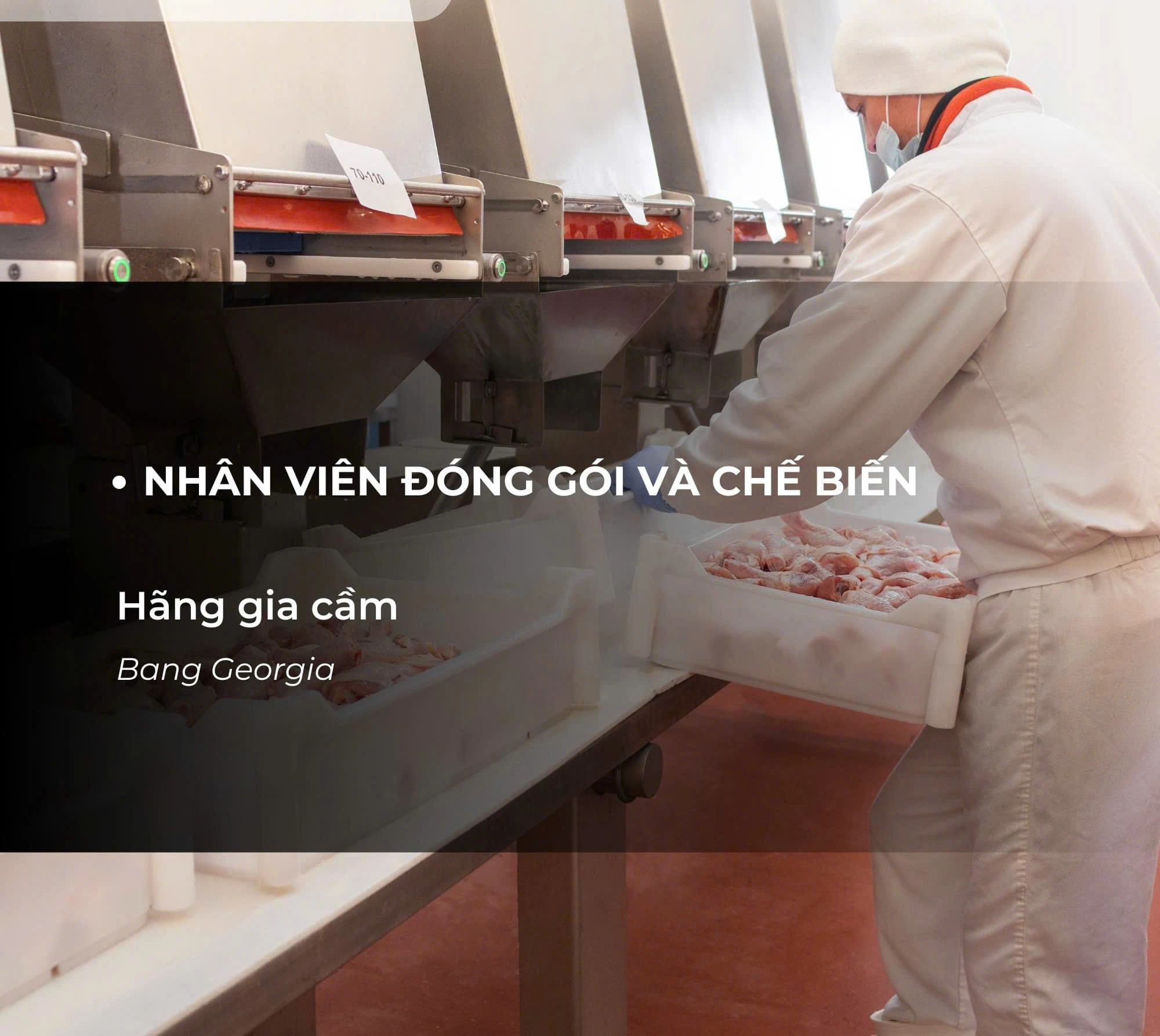 TUYỂN DỤNG LAO ĐỘNG ĐỊNH CƯ MỸ – CHƯƠNG TRÌNH EB-3 2026